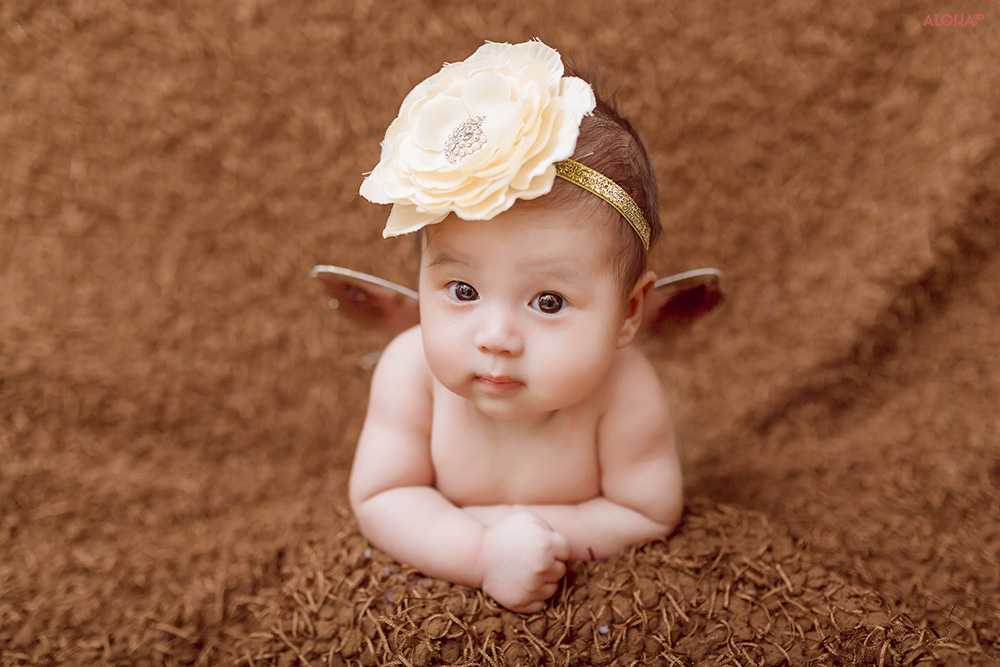 Album ảnh newborn 3